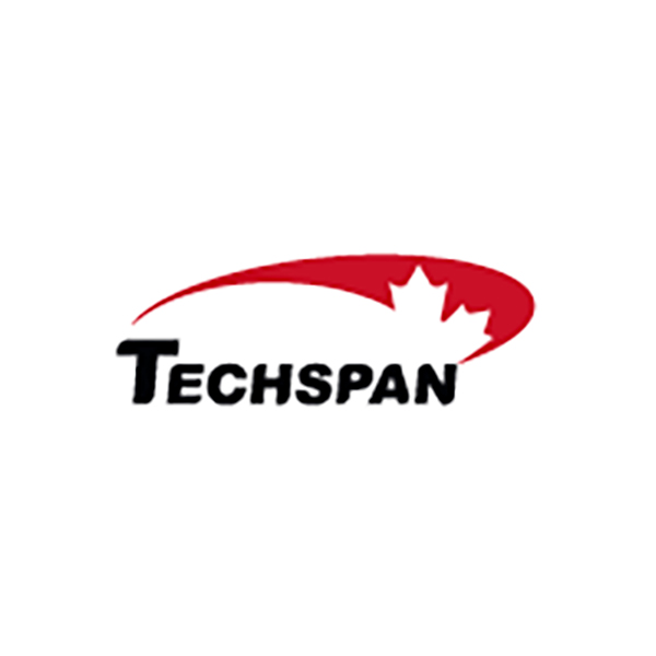 Techspan logo